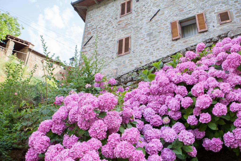 Il Borgo Dei Corsi - Charming Holiday Apartments Ortignano Raggiolo Exteriör bild